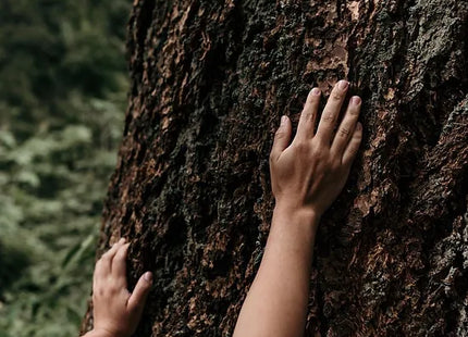 Forest Dust Care Hand Cream