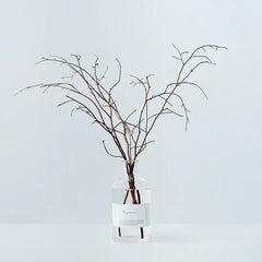 Collection image for: Odai