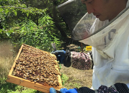 Japanese and Chinese fermented beauty emulsion